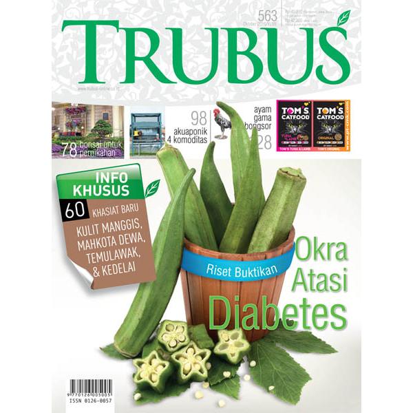 TRUBUS : OKRA ATASI DIABETES