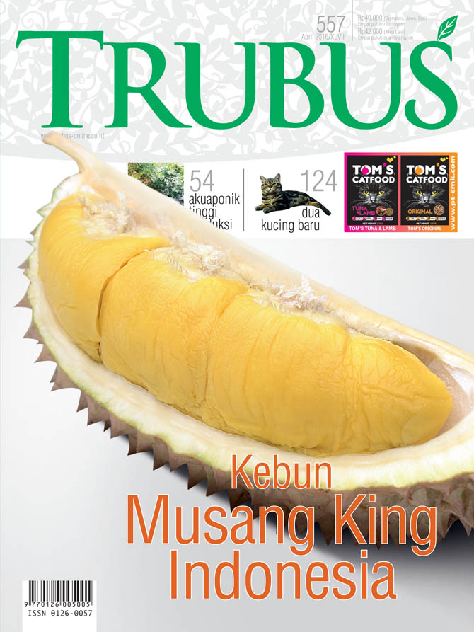 TRUBUS : KEBUN MUSANG KING INDONESIA